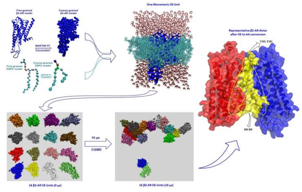 Membrane Protein Studies