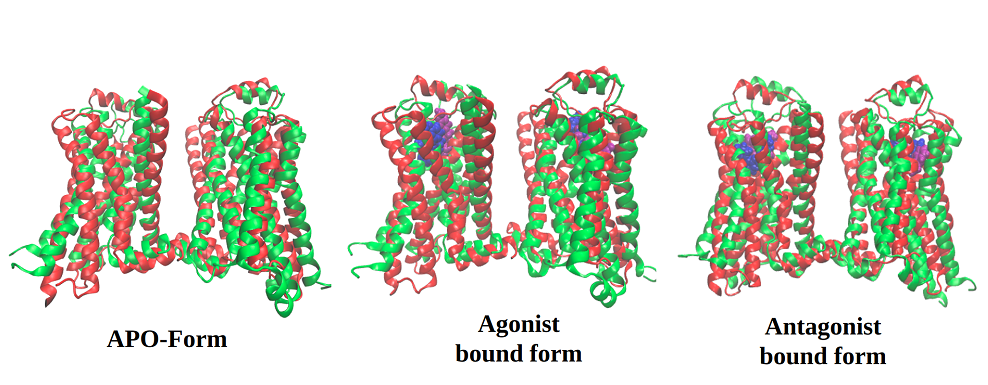 Membrane Protein Studies