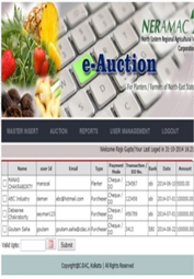 Auction