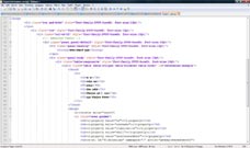 JSP Input File