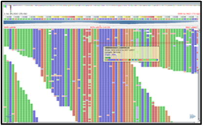 Next Generation Sequence